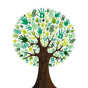 Milieuzorg in de zorg - Groene handen in een boom
