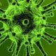 De betekenis van het Coronavirus voor uw organisatie